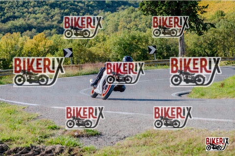 Chianti 12-10-25 h15-42 3683