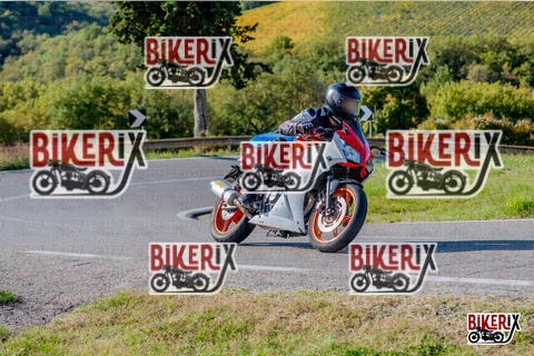 Chianti 12-10-25 h15-42 3687