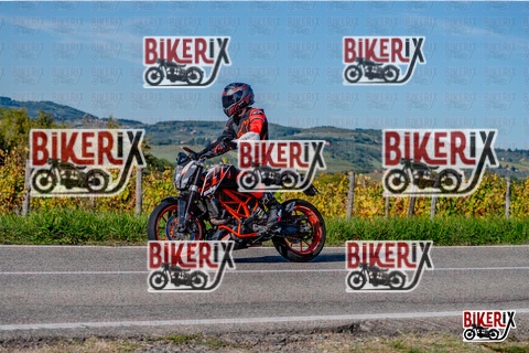 Chianti 12-10-25 h15-42 3691