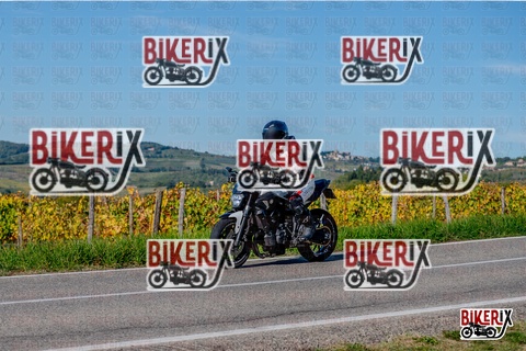 Chianti 12-10-25 h15-42 3696