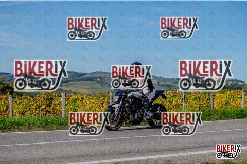 Chianti 12-10-25 h15-42 3697