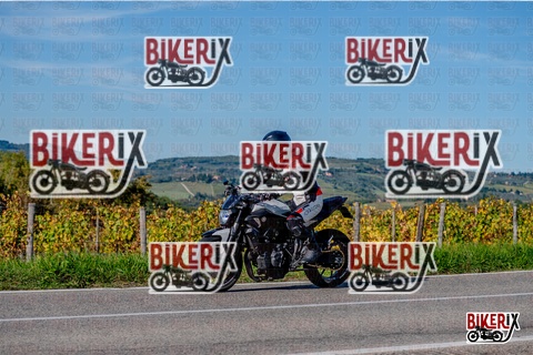 Chianti 12-10-25 h15-42 3698