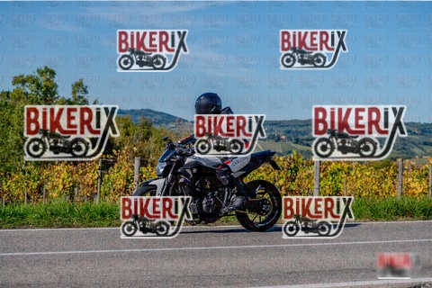 Chianti 12-10-25 h15-42 3699