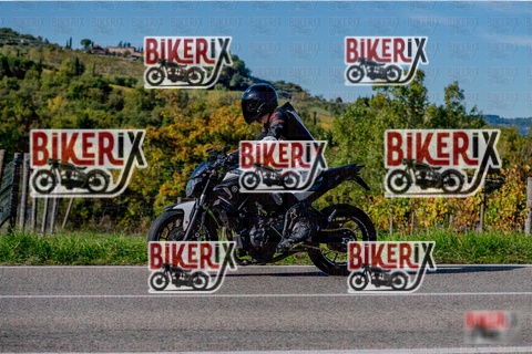 Chianti 12-10-25 h15-42 3701