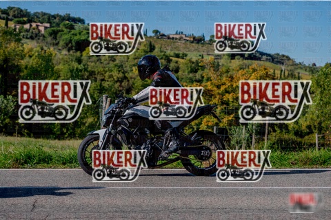 Chianti 12-10-25 h15-42 3702