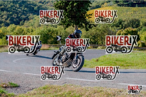 Chianti 12-10-25 h15-43 3711