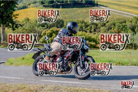 Chianti 12-10-25 h15-43 3717