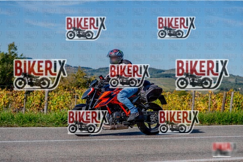 Chianti 12-10-25 h15-43 3724