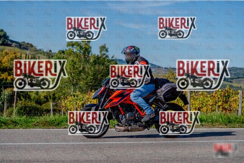 Chianti 12-10-25 h15-43 3725