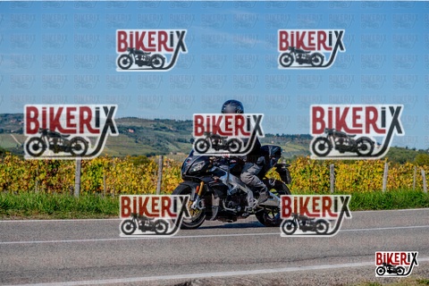 Chianti 12-10-25 h15-43 3735