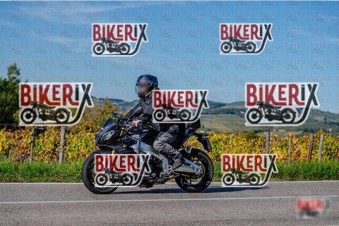 Chianti 12-10-25 h15-43 3737