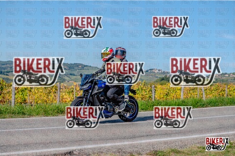 Chianti 12-10-25 h15-43 3741