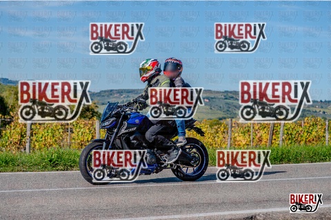 Chianti 12-10-25 h15-43 3743