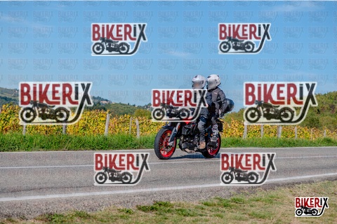 Chianti 12-10-25 h15-47 3765