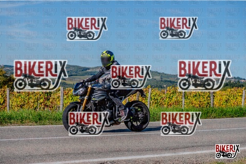 Chianti 12-10-25 h15-51 3841