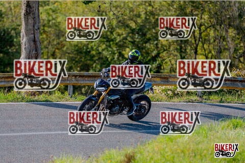 Chianti 12-10-25 h15-52 3858