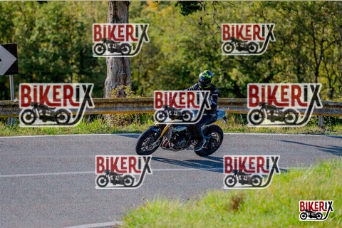 Chianti 12-10-25 h15-52 3859