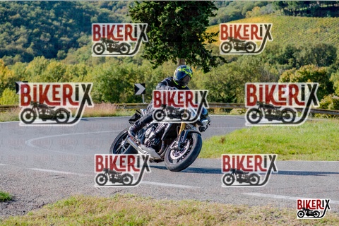 Chianti 12-10-25 h15-52 3865