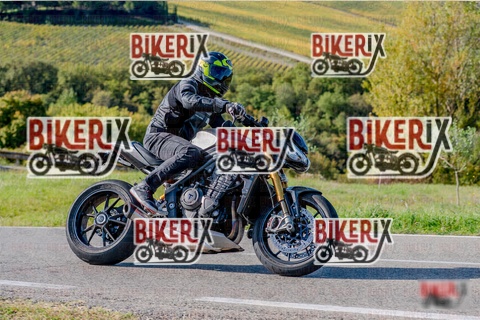 Chianti 12-10-25 h15-52 3868