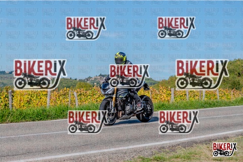 Chianti 12-10-25 h15-53 3874