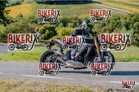 Chianti 12-10-25 h15-54 3893