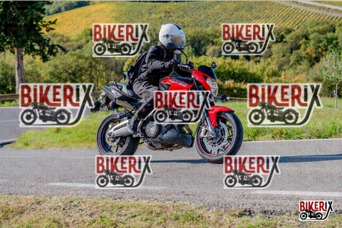 Chianti 12-10-25 h15-55 3915