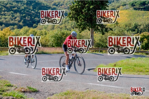 Chianti 12-10-25 h15-55 3956