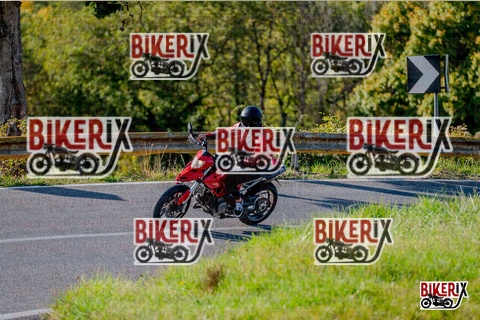 Chianti 12-10-25 h15-57 3984