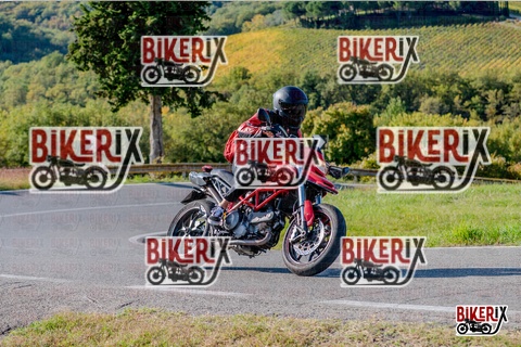 Chianti 12-10-25 h15-57 3991