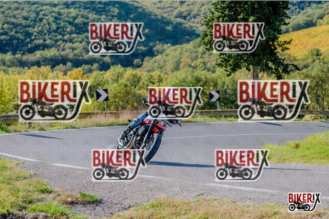 Chianti 12-10-25 h15-59 4008