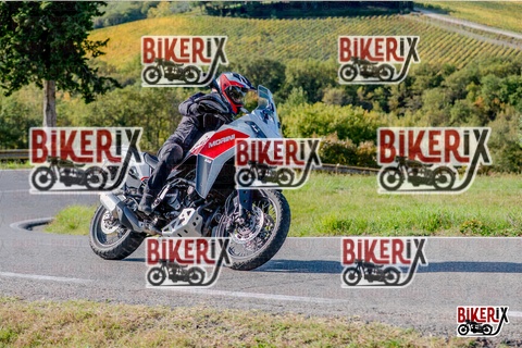 Chianti 12-10-25 h15-59 4019