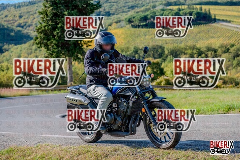 Chianti 12-10-25 h16-00 4037