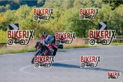 Chianti 12-10-25 h16-05 4116