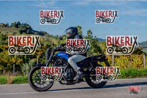 Chianti 12-10-25 h16-05 4128