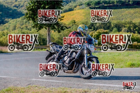 Chianti 12-10-25 h16-06 4162