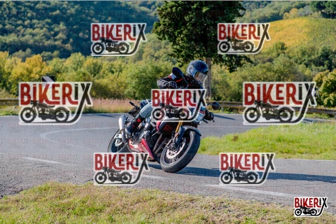 Chianti 12-10-25 h16-08 4172