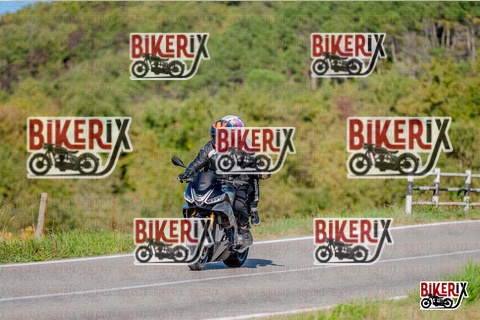 Chianti 12-10-25 h16-14 4193