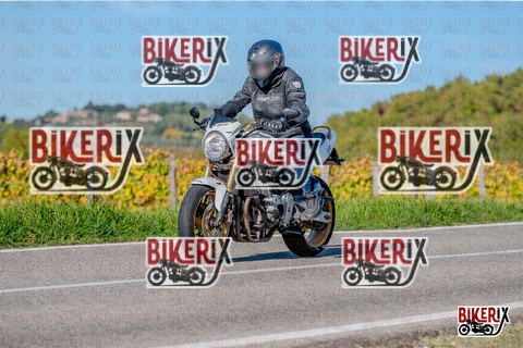 Chianti 12-10-25 h16-16 4210