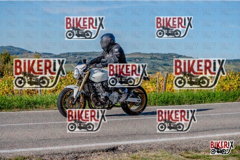 Chianti 12-10-25 h16-16 4211