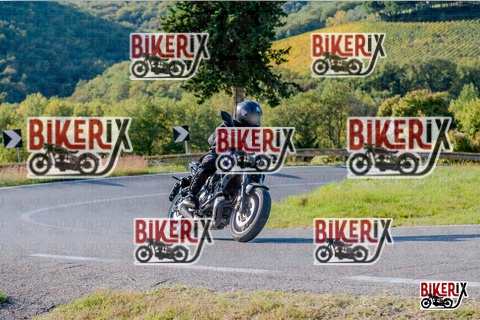 Chianti 12-10-25 h16-26 4308