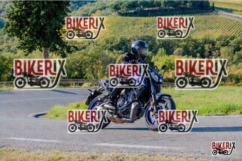 Chianti 12-10-25 h16-26 4310