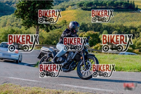 Chianti 12-10-25 h16-32 4349