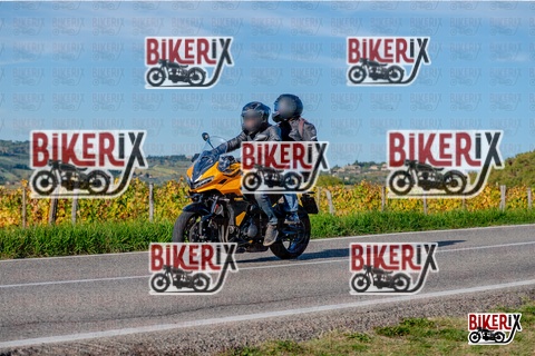 Chianti 12-10-25 h16-41 4425