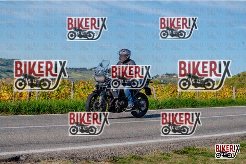 Chianti 12-10-25 h16-42 4442