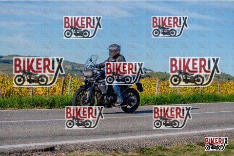 Chianti 12-10-25 h16-42 4443