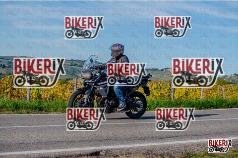 Chianti 12-10-25 h16-42 4444