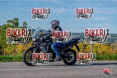 Chianti 12-10-25 h16-42 4447