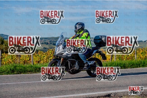 Chianti 12-10-25 h16-42 4454