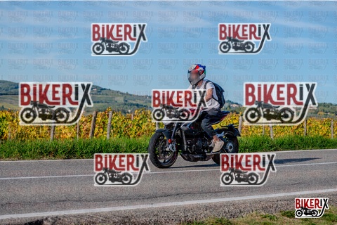 Chianti 12-10-25 h16-43 4459