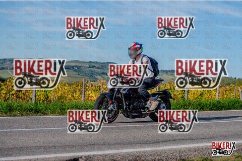 Chianti 12-10-25 h16-43 4460